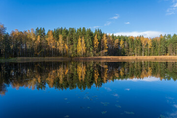 Fototapeta na wymiar The fall landscape with a reflection on the lake.