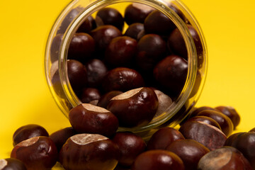 Wild chestnuts spilled from a glass jar on a yellow background