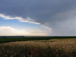 Rain above the field