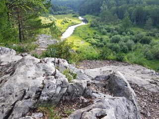Trees grow on the rocky river bank