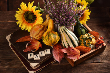Autumn still life with ornamental gourds and seasonal flowers  in rustic style