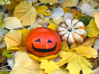 Halloween pumpkins in the garden on a background of yellow and colorful autumn leaves