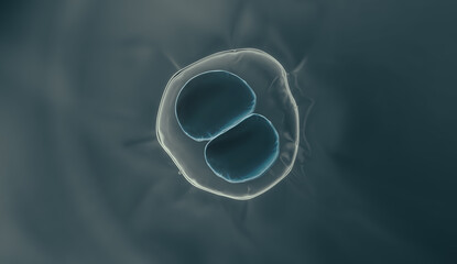 Cells division process, Cell divides into two cells	