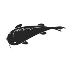 Carp vector icon.Blackvector icon isolated on white background carp.