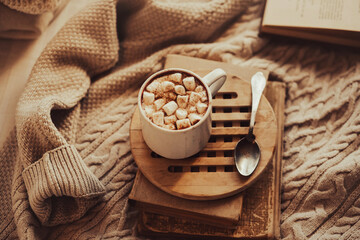 Cozy home still life. Cocoa with marshmallow and cinnamon and reading books at home in the cold season. Warm beige sweaters. Hygge. 