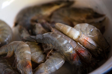 fresh shrimps on the market