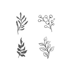 Hand drawn floral ornaments. Branches and leaves doodle collection. Decorative plants illustrations.