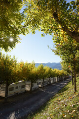 outdoor camping with vans landscape