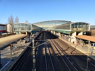 Naklejka premium nature