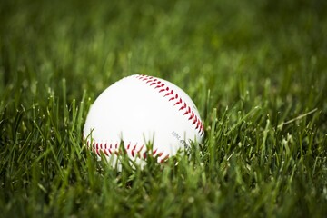 Classic white Baseball ball in the grass