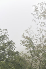 The field is in a fog. Atmospheric frame. Autumn nature. Raindrops