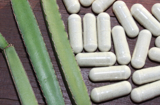 Cissus quadrangularis und Kapseln