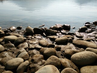 rocks on the beach