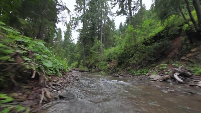 Smooth, rapid flight over a mountain river close to the water, among a dense forest. Mystical mountain landscape. Filmed on FPV drone.