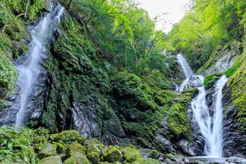 雨乞の滝　徳島県神山町　Amagoi Waterfall. Tokushima-ken Kamiyama Town
