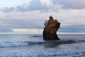 Great cormorans perched on red sandstone rock at Dunes-du-Sud beach seen during a cloudy fall day, Havre-aux-Maisons, Magdalen Islands, Quebec, Canada