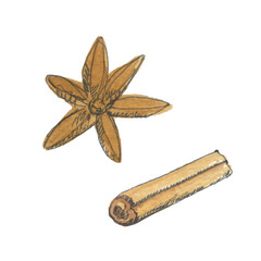 Cinnamon simple doodle illustration. Watercolor with black outline.