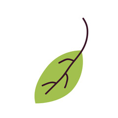 Vector autumn elements, forest leaves, design for the holiday. For your autumn design of greeting cards, stickers, posters, invitations. Hand drawn doodles isolated on background for fabric, baby text