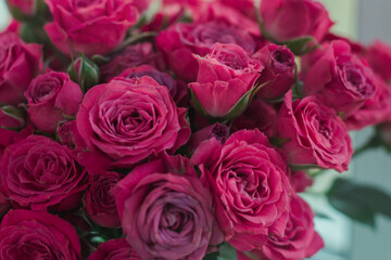 A chic bouquet of small pink roses in a jar on the windowsill. Cute still life 
