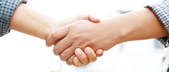 Closeup of a business hand shake between two colleagues Plaid shirt