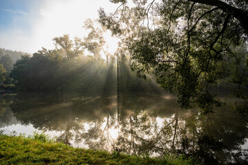 Obraz premium Sunny morning with sun ray on river bank, Kolodeje nad Luznici.