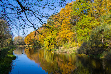 Colorful autumn landscape with river and leaf trees