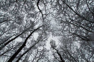 neve snow wallpaper high quality photo upside down desktop 