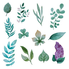 Set of varied isolated watercolor leaves on a white background.