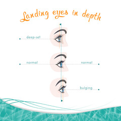 Types of eye landing in depth