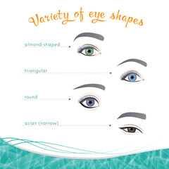 Variety of eye shapes on a white background