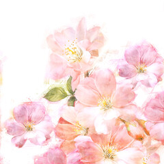 Pink watercolor flower bouquet illustration