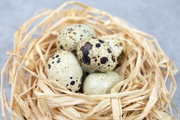 Obraz premium Quail eggs in a nest of hay close-up