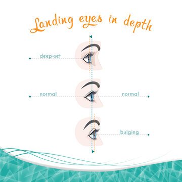Types of eye landing in depth