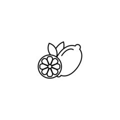 Symbol of Lemon. Thin line Icon of Food. Stroke Pictogram Graphic for Web Design. Quality Outline Vector Symbol Concept. Premium Mono Linear Beautiful Plain Laconic Logo