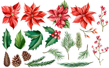 Fotobehang Watercolor set of isolated Christmas illustrations, poinsettias flower, holly, red berries, cones, fir branches. © Ольга Шамарина