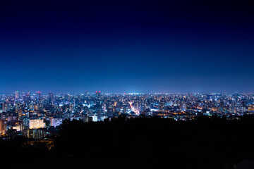 Fototapeta na wymiar 旭山公園の夜景