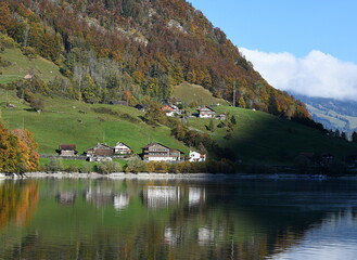 Fototapeta premium lungern en automne
