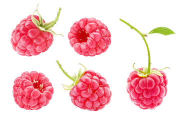 Delicious raspberries collection, isolated on white background