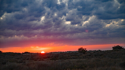 Coucher de soleil en Camargue