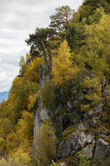 Russia. Adygea. The nature of Adygea. Caucasian Nature Reserve. The plateau of Lago Naki.