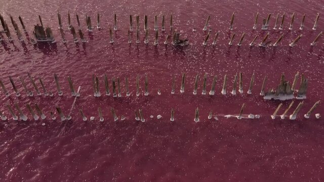 Aerial view of the salt lake Sasyk-Sivash during flowering. Evpatoria, Crimea