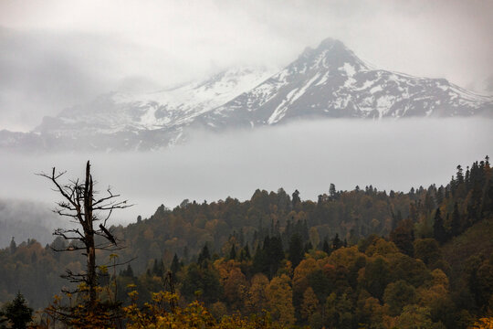 ussia. Adygea. Types of nature of Adygea. Caucasian Nature Reserve.