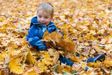 Russia. Saint-Petersburg. Autumn in the Novoznamenka Park. The child is sitting in a pile of fallen leaves.
