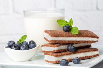 Chocolate biscuit with milk filling and berries on a plate. Chocolate-milk kids dessert. (Turkish dessert; sut dilimi)