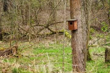 A birdhouse hanging on a tree trunk near the forest.