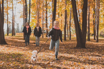 Grandmother and mother with granddaughter walks together in autumn park and having fun. Generation, leisure and family concept.