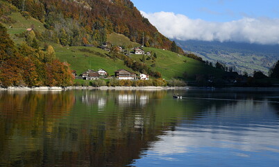 Fototapeta premium lungern en automne