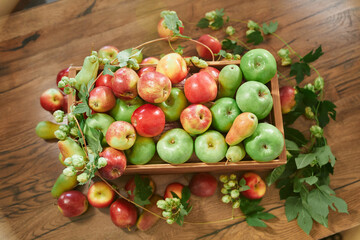 Farmer's market, agricultural or organic fruits concept. Red and green apples with green foliage in a deep box on wooden surface. High quality photo