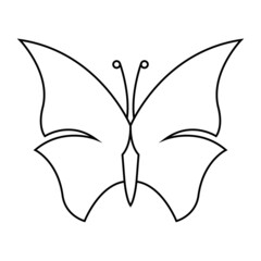 Butterfly insect Vector minimalistic art. Black and white. White background. Line drawing.