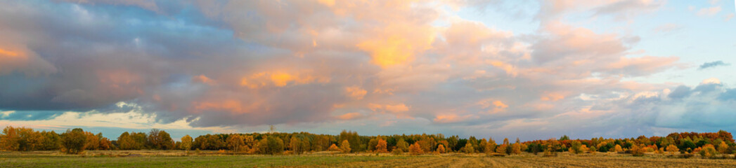Naklejka na ściany i meble autumn panorama field, forest, sky